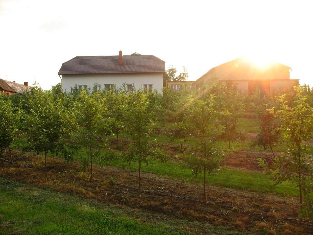 Owocowy Raj Nad Zalewem Villa Modla Krolewska Kültér fotó